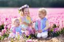 Drei Kinder im Blumenfeld, Sommer mit Blumenkrone