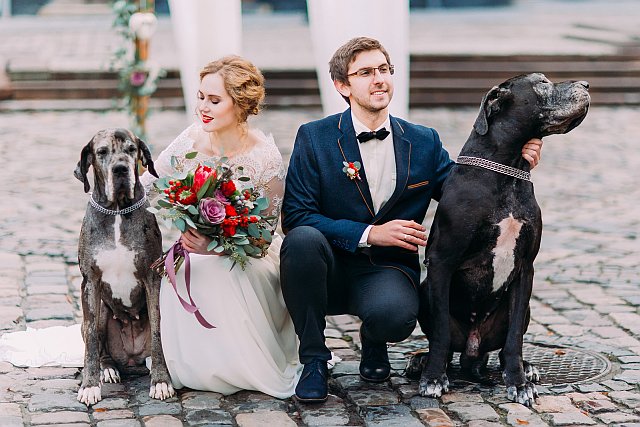 Brautpaar posiert für ein Hochzeitsfoto mit zwei Hunden