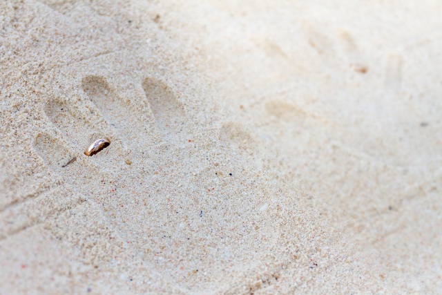 Handabdrücke mit Eheringen im Sand