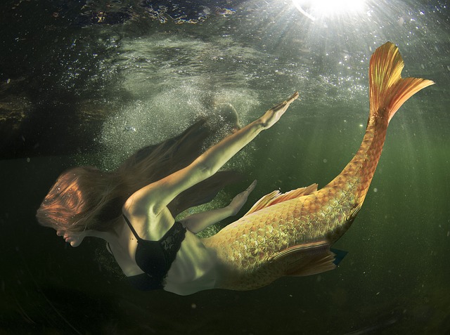Unterwasser Fotoshooting