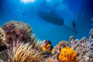 Unterwasser Fotografie Tipps